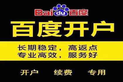 专业SEM托管服务成功案例分享